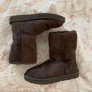 Classic Ugg Boot Short